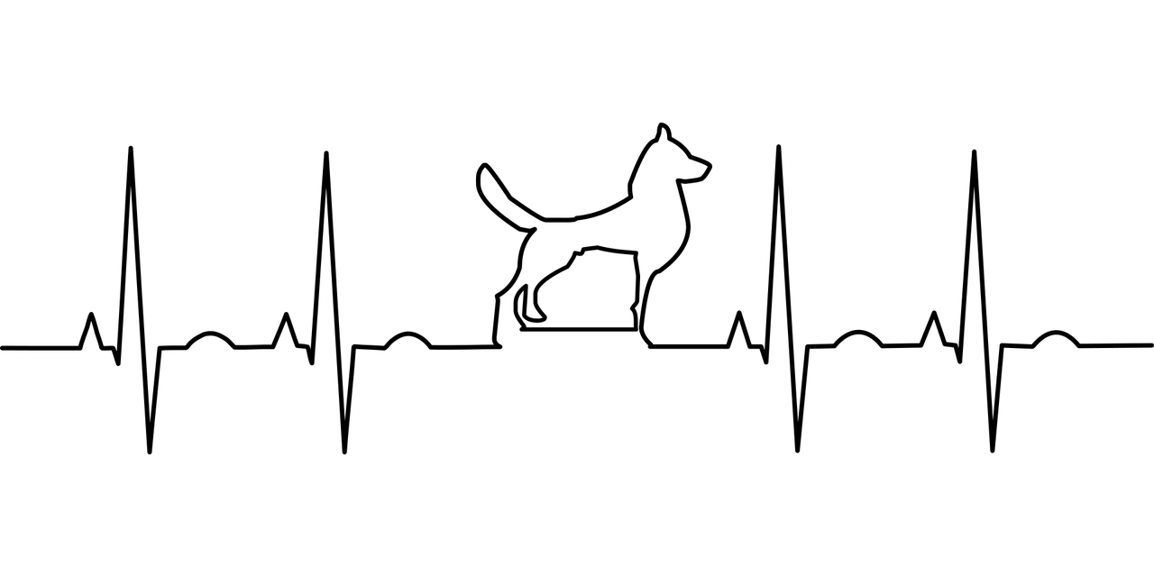 Canine Health